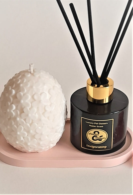 Candle - Sculptural Egg Shape Candle - Wholesale Luxury Candles