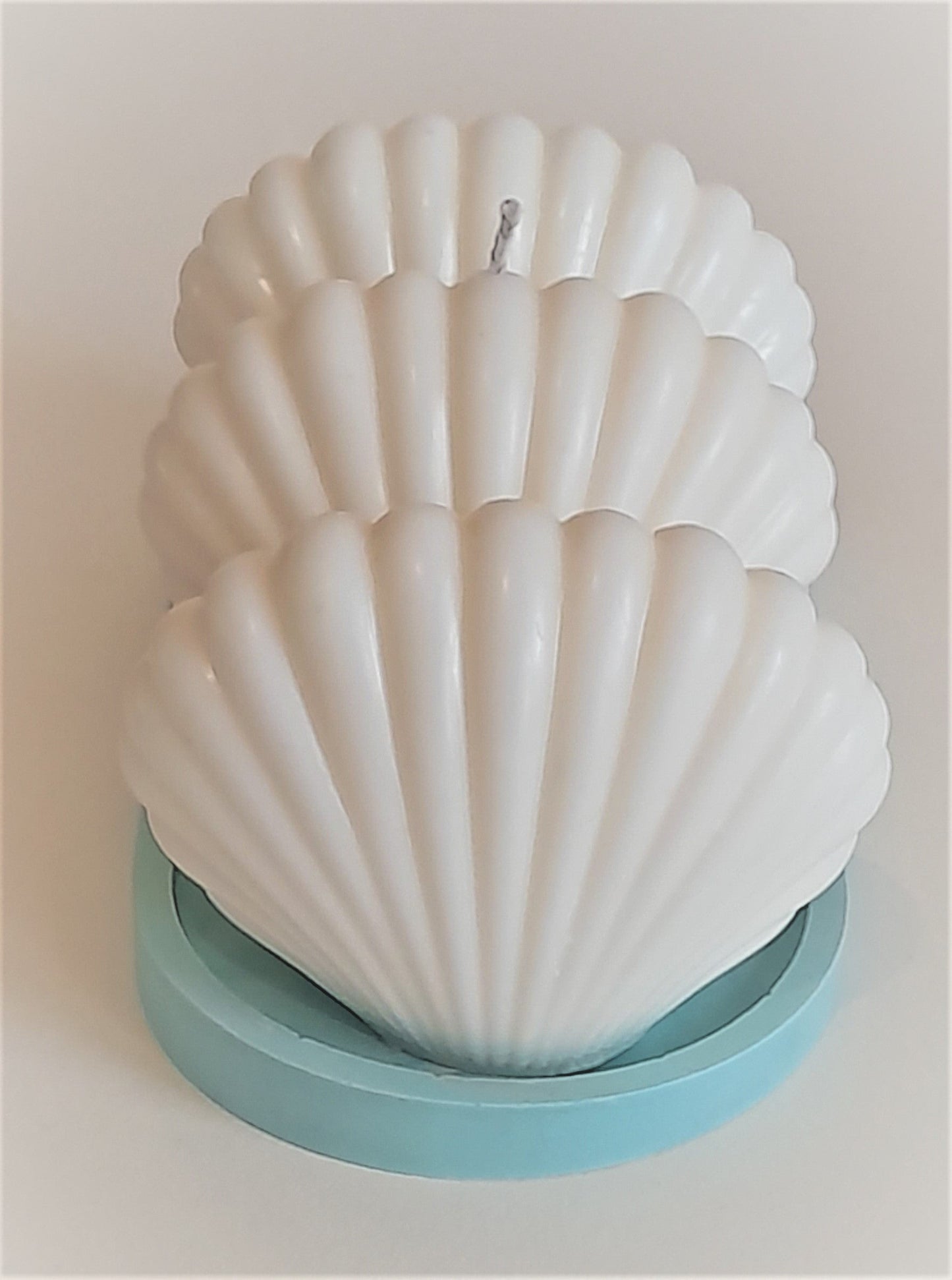 Candles - Decorative & Sculptural Small Shell Candles - Luxury Candles