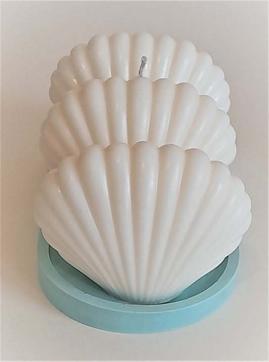 Candles - Decorative & Sculptural Small Shell Candles - Luxury Candles
